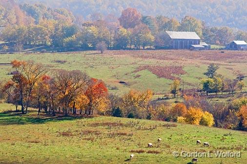 Duck River Valley View_24745.jpg - Photographed from Baker Bluff along the Natchez Trace Parkway in Tennessee, USA.